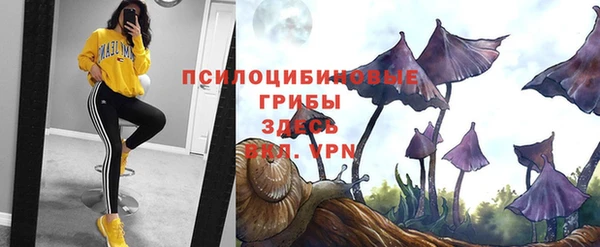 круглые Аркадак