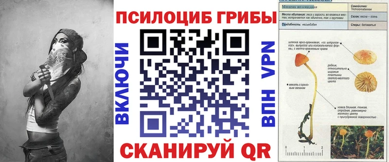 Псилоцибиновые грибы мицелий  наркошоп  Рыбинск 
